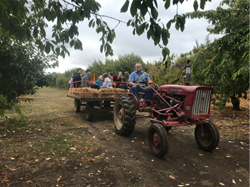 Other Activities - Detering Orchards | Harrisburg, Oregon